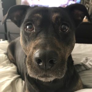 Meet your Posher, Sabrina